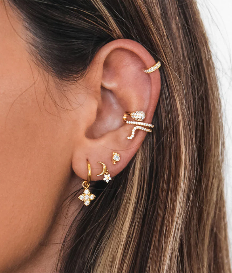 Bagues d'oreilles serpent Charlie